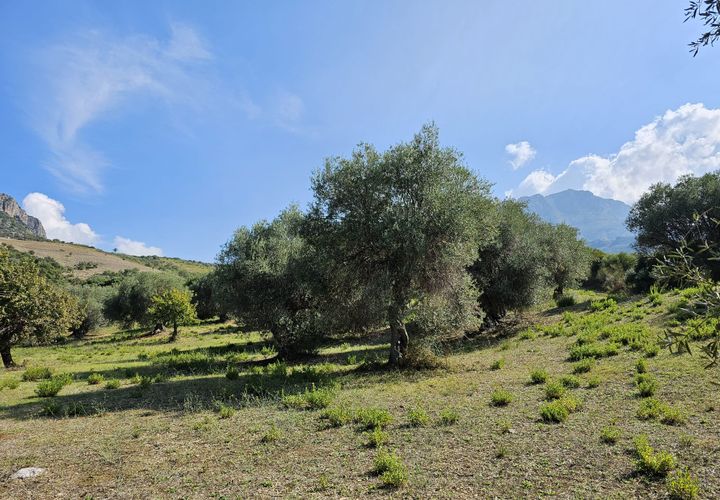 Helårsgrund i Collesano, Palermo, Collesano - € 42.000 | Ref: 10513 - foto 1